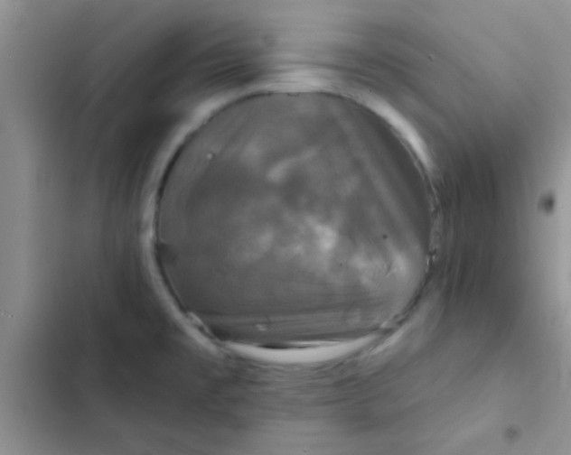 X0000102541477200808221917