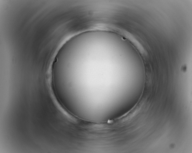 X0000102541479200808221917