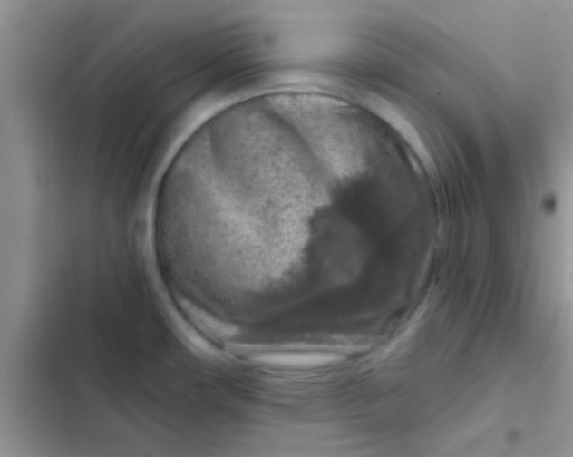 X0000102541482200808221917