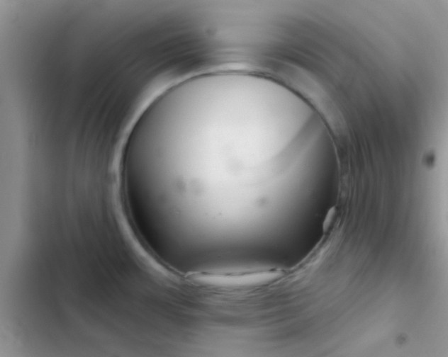 X0000102541483200808221917
