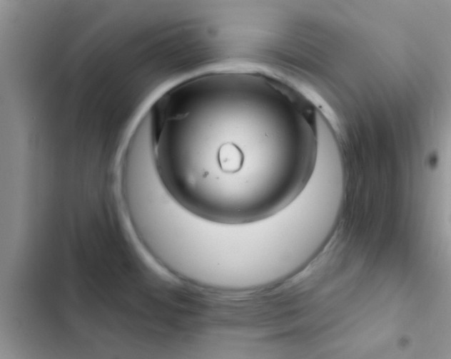 X0000102541484200808221917