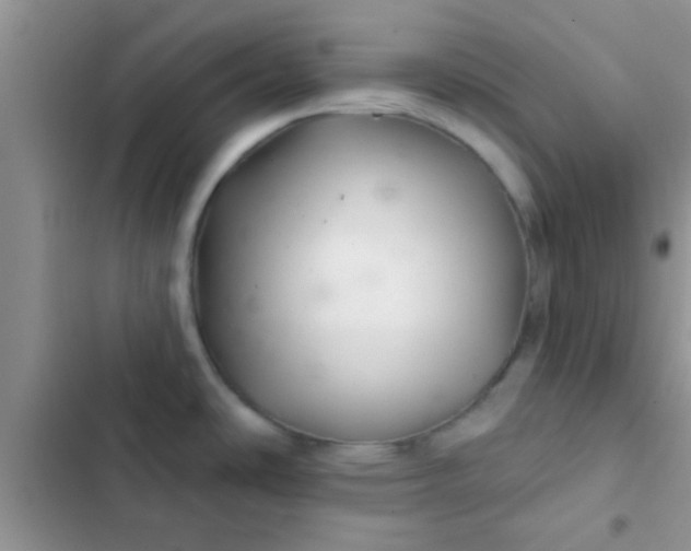 X0000102541486200808221917