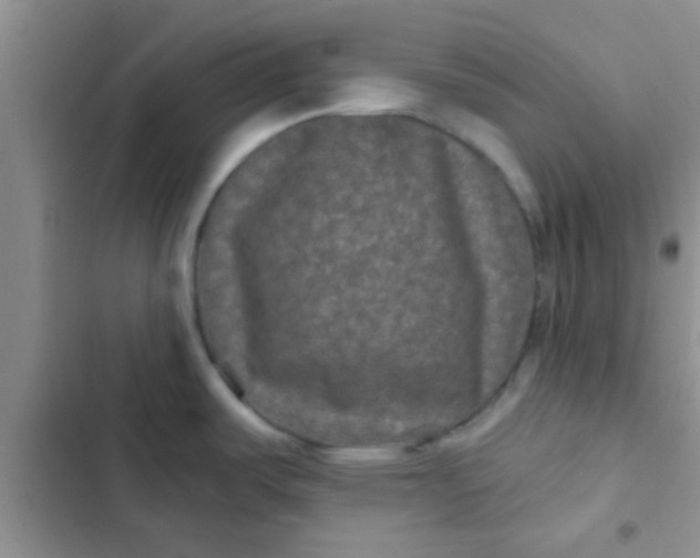 X0000102541487200808221917
