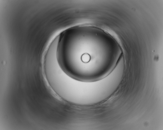 X0000102541488200808221917