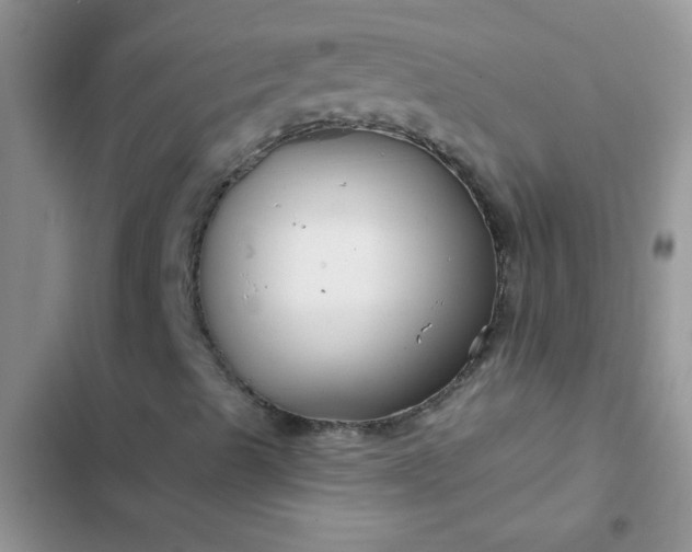X0000102541489200808221916