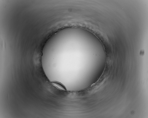 X0000102541490200808221916