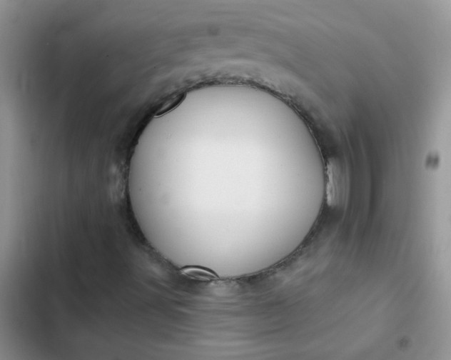 X0000102541491200808221916