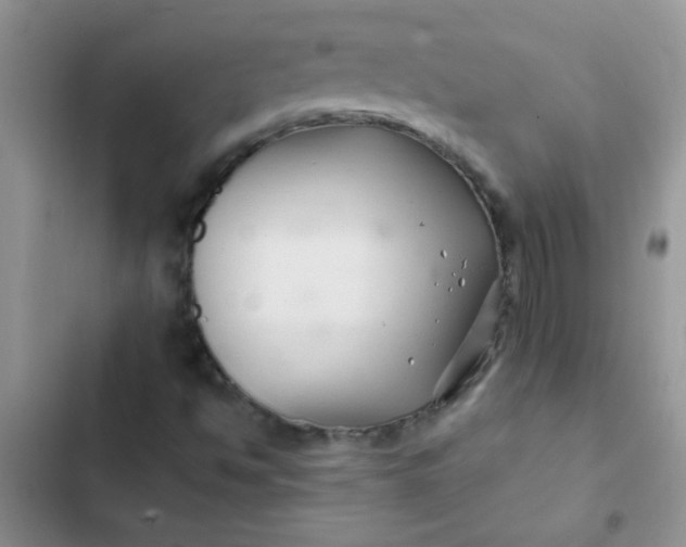 X0000102541494200808221916