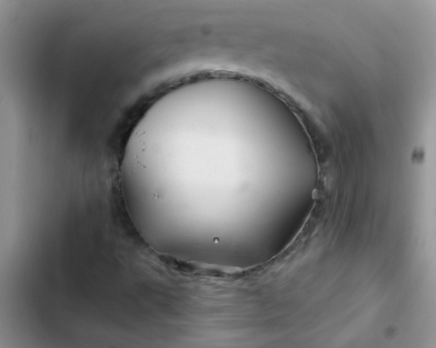 X0000102541495200808221916