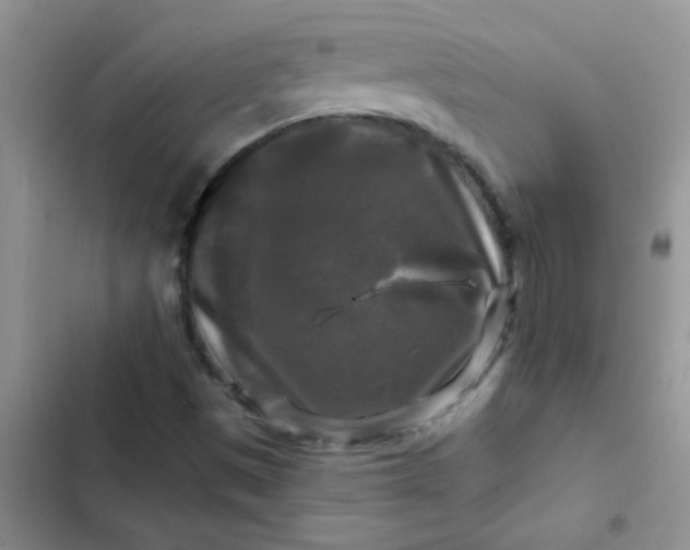 X0000102541497200808221916