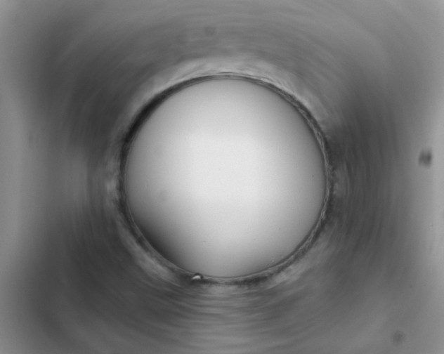 X0000102541499200808221916