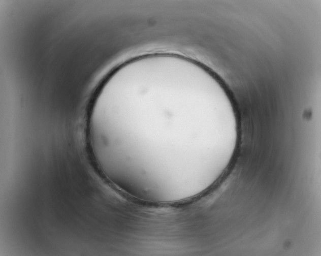 X0000102541502200808221917