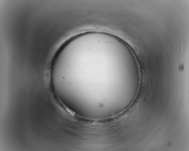 X0000102541503200808221917