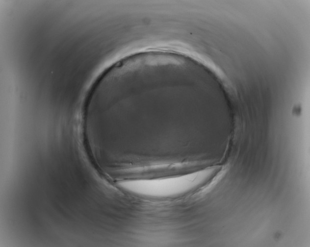 X0000102541506200808221917