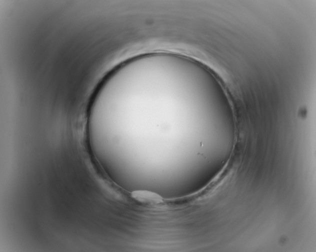 X0000102541507200808221917