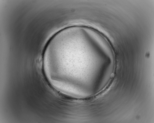 X0000102541509200808221917