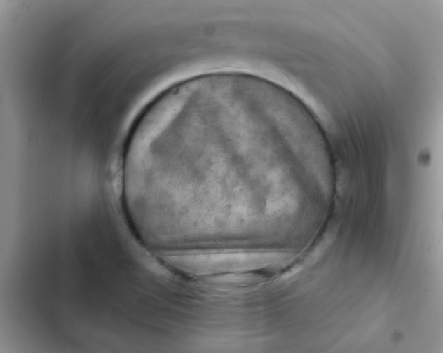 X0000102541510200808221917