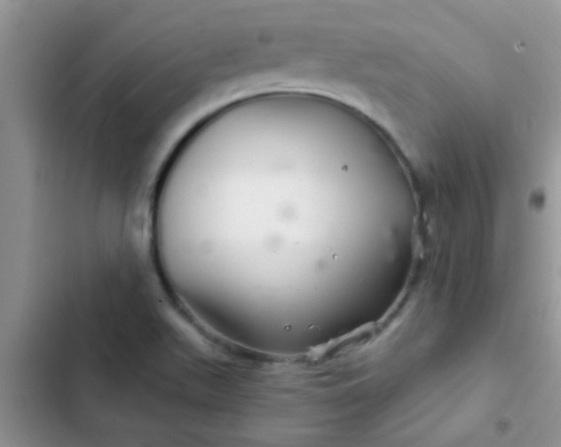 X0000102541511200808221917