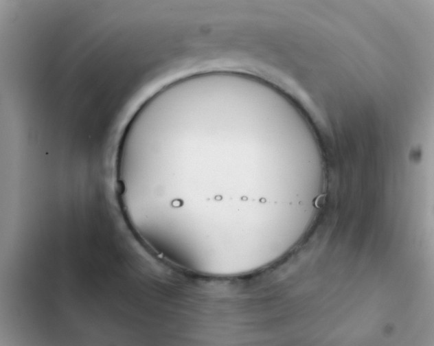 X0000102541512200808221917