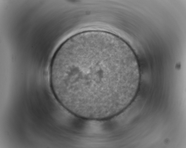 X0000102541514200808221917
