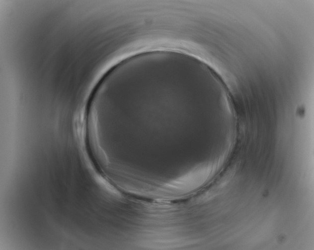 X0000102541515200808221917