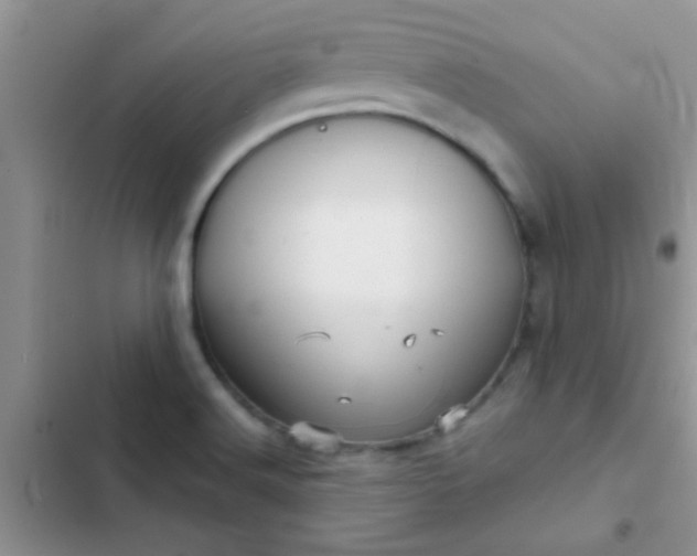 X0000102541516200808221917