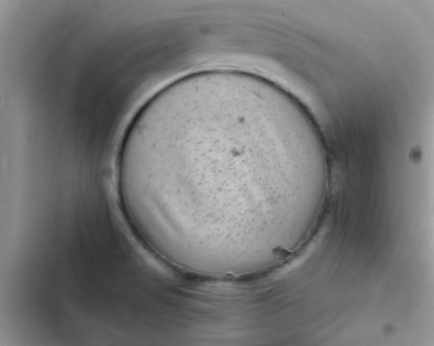X0000102541517200808221917