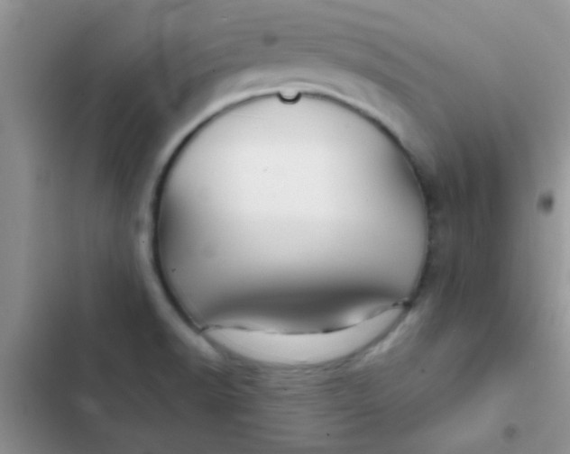 X0000102541518200808221917
