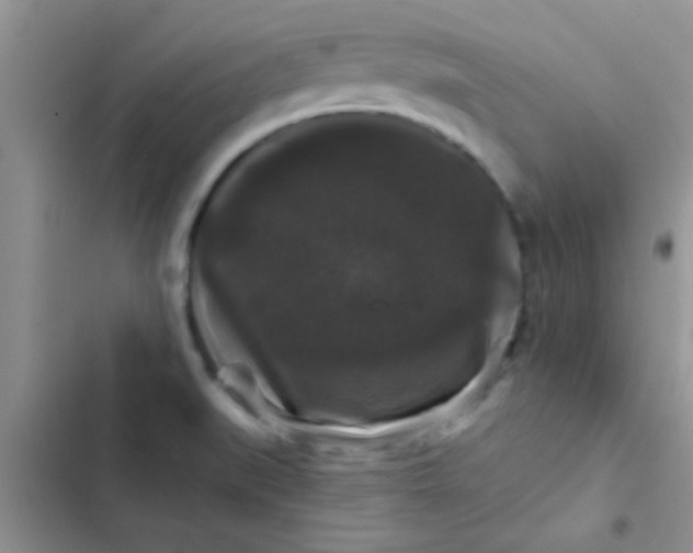 X0000102541519200808221917