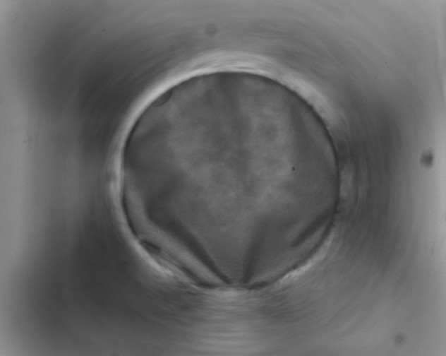 X0000102541520200808221917