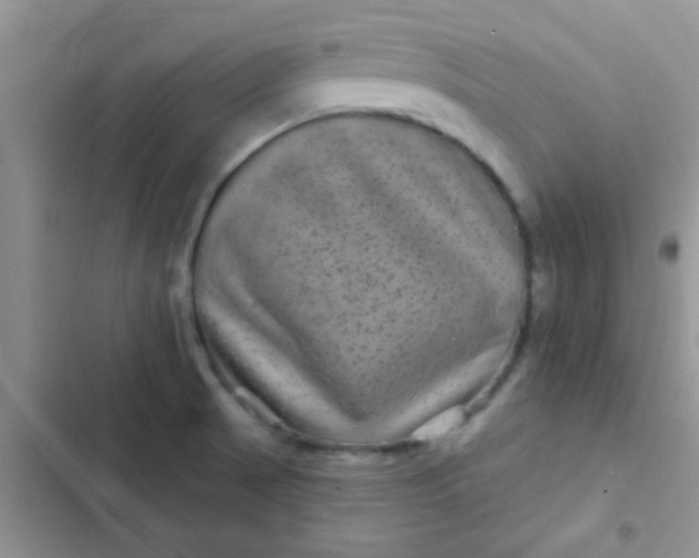 X0000102541521200808221917