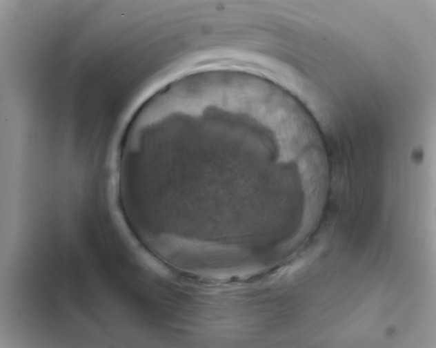 X0000102541522200808221917