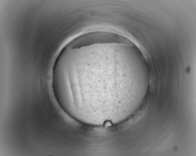 X0000102541523200808221917