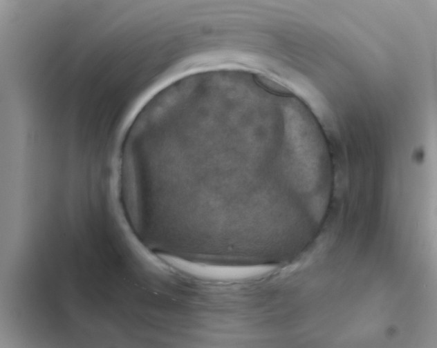 X0000102541524200808221917