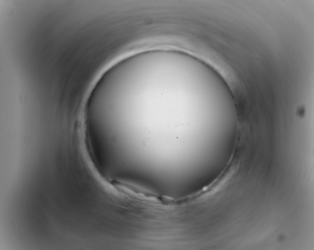 X0000102541526200808221917
