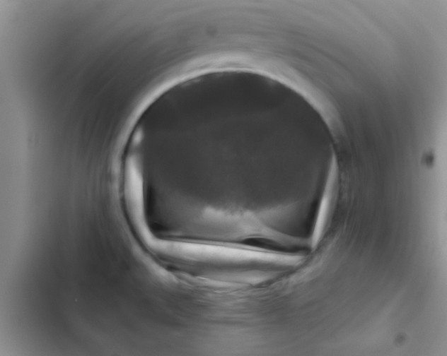 X0000102541527200808221917