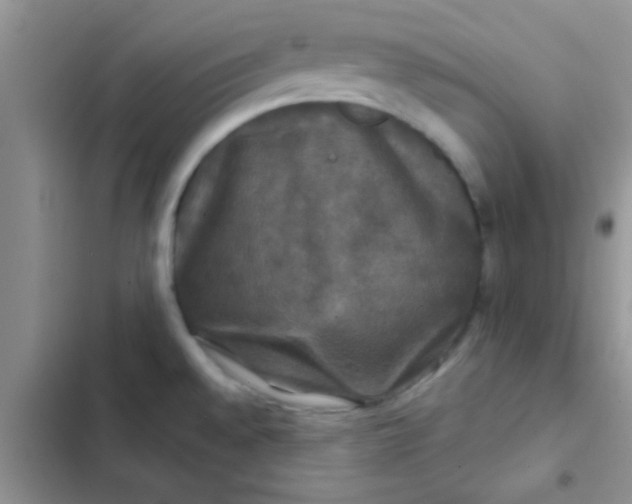 X0000102541528200808221917