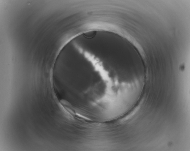 X0000102541529200808221917