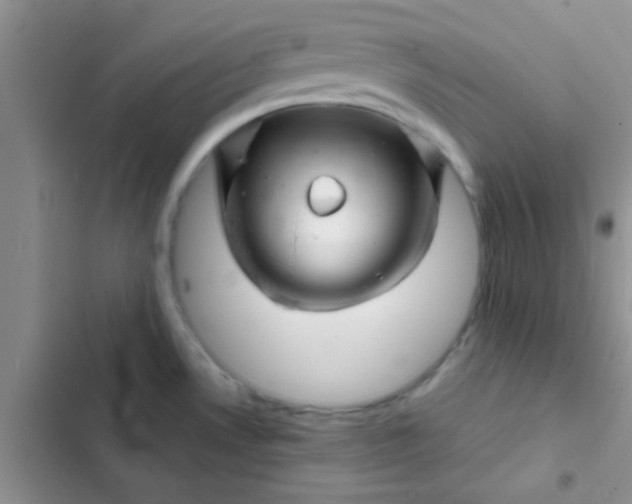 X0000102541530200808221917