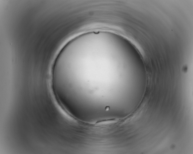 X0000102541531200808221917