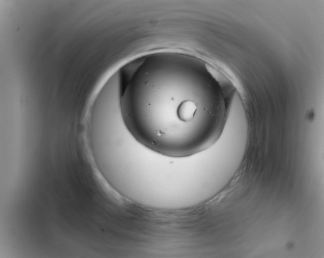 X0000102541532200808221917