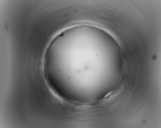X0000102541535200808221917