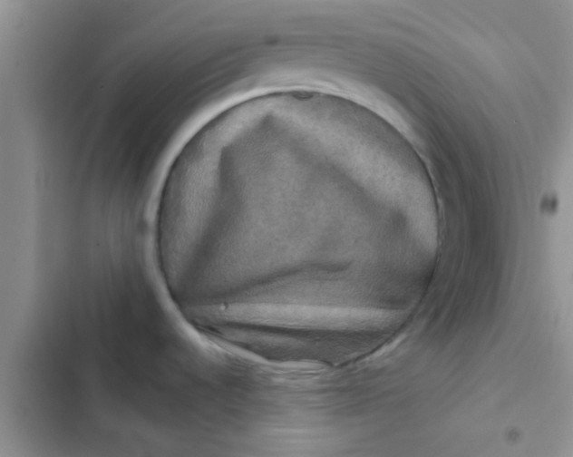 X0000102541536200808221917