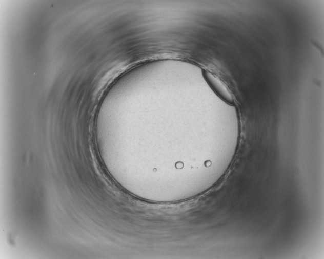 X0000102540001200808291852