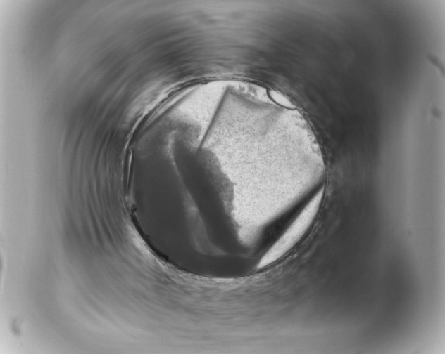 X0000102540002200808291852