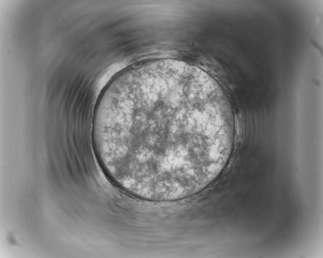 X0000102540003200808291852