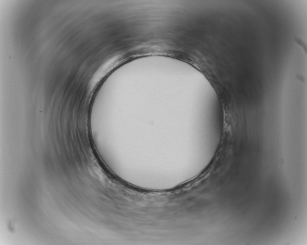 X0000102540004200808291852