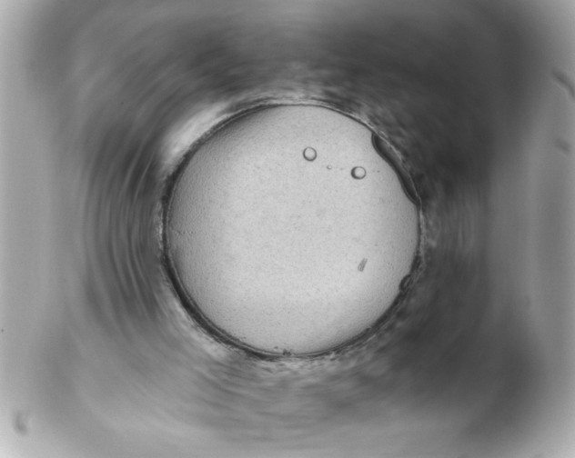 X0000102540005200808291852