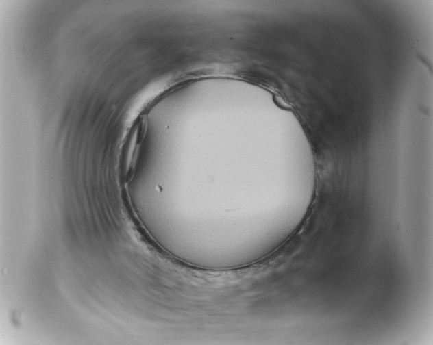 X0000102540006200808291852