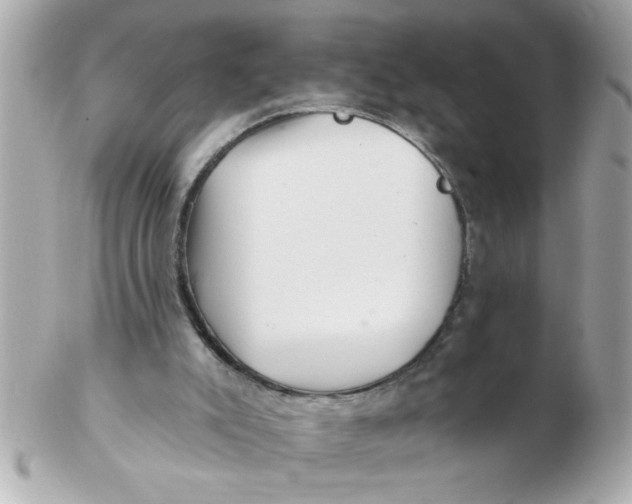 X0000102540007200808291852